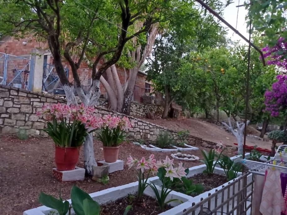 Villa Lidi Stavros  Exteriör bild