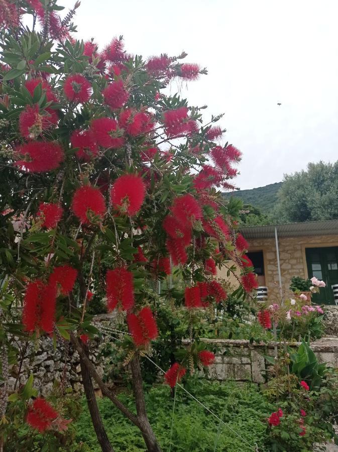 Villa Lidi Stavros  Exteriör bild