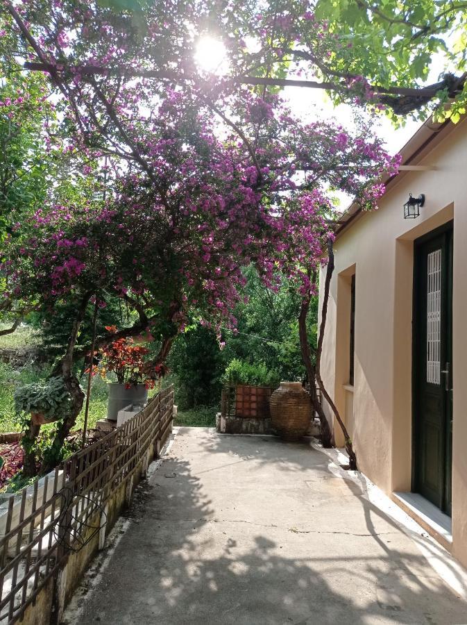 Villa Lidi Stavros  Exteriör bild